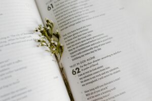bible page with flower sprig 