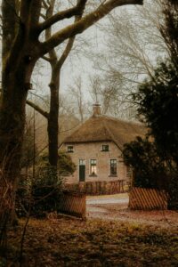 earth-toned cottage in forest with winding path