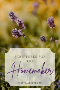 lavender green and yellow background with graphic overlay